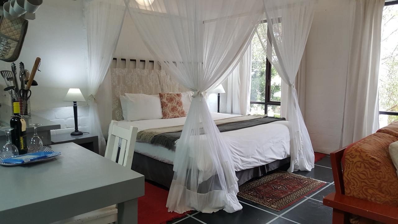 Hornbill House Self Catering Accommodation Hermanus Extérieur photo