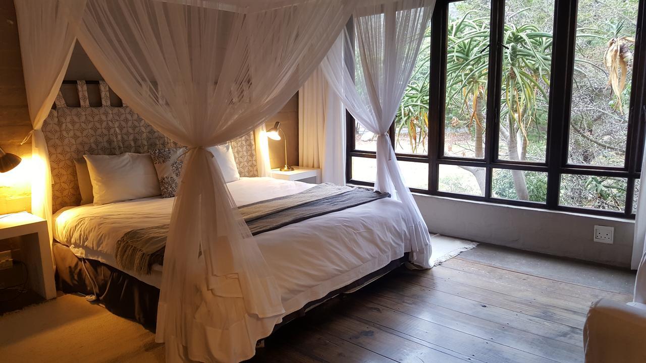 Hornbill House Self Catering Accommodation Hermanus Extérieur photo