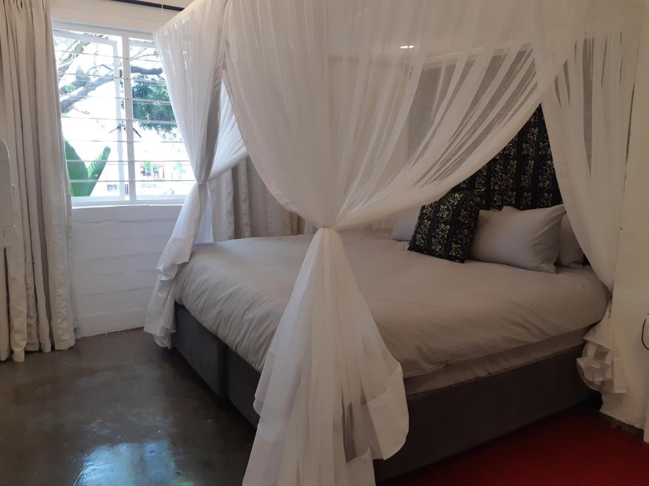 Hornbill House Self Catering Accommodation Hermanus Extérieur photo
