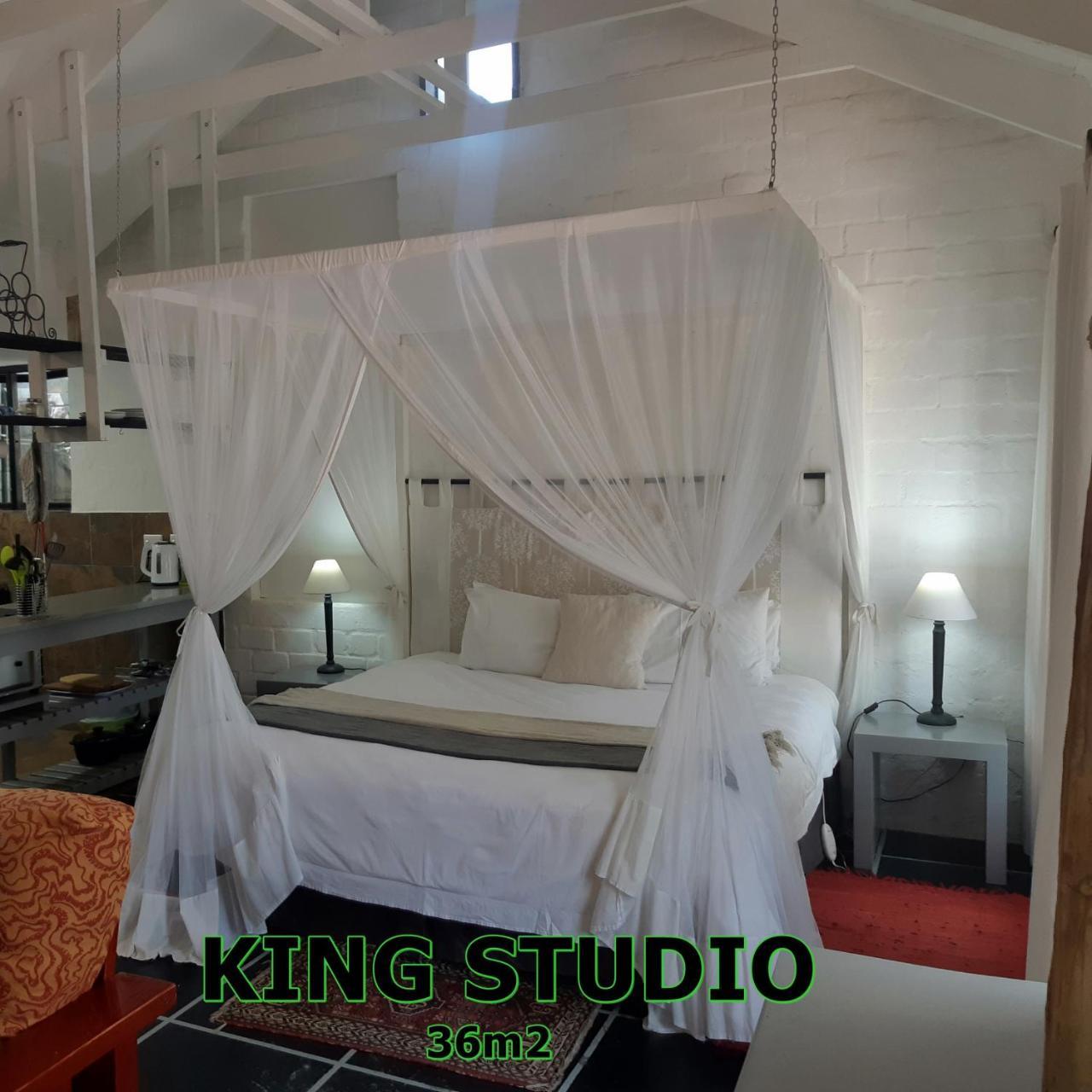 Hornbill House Self Catering Accommodation Hermanus Extérieur photo