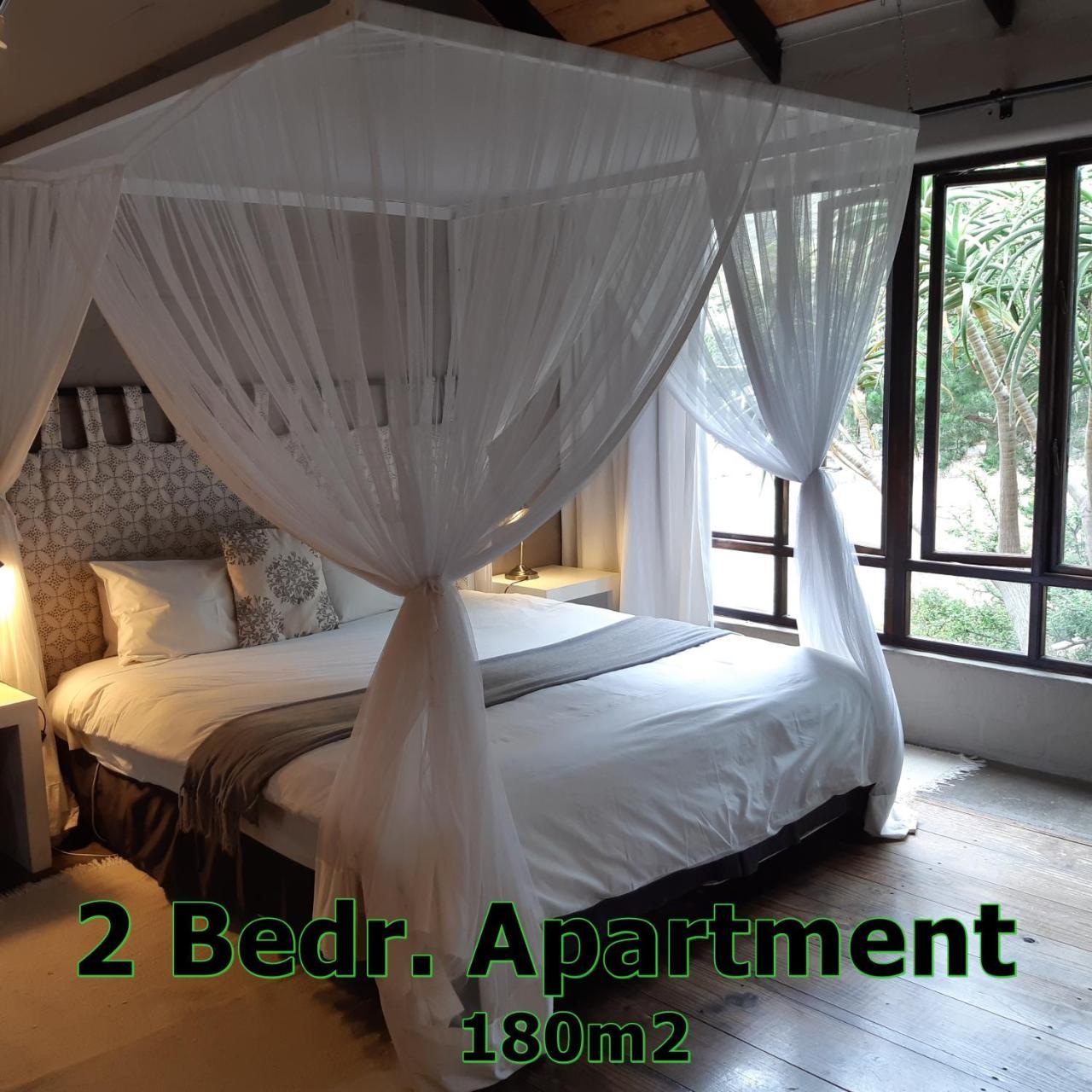 Hornbill House Self Catering Accommodation Hermanus Extérieur photo